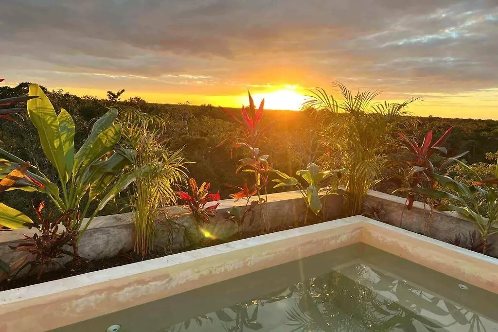 Apartment Lush Tulum Rooftop Condo With Ensuite Pool & Wifi Mexico