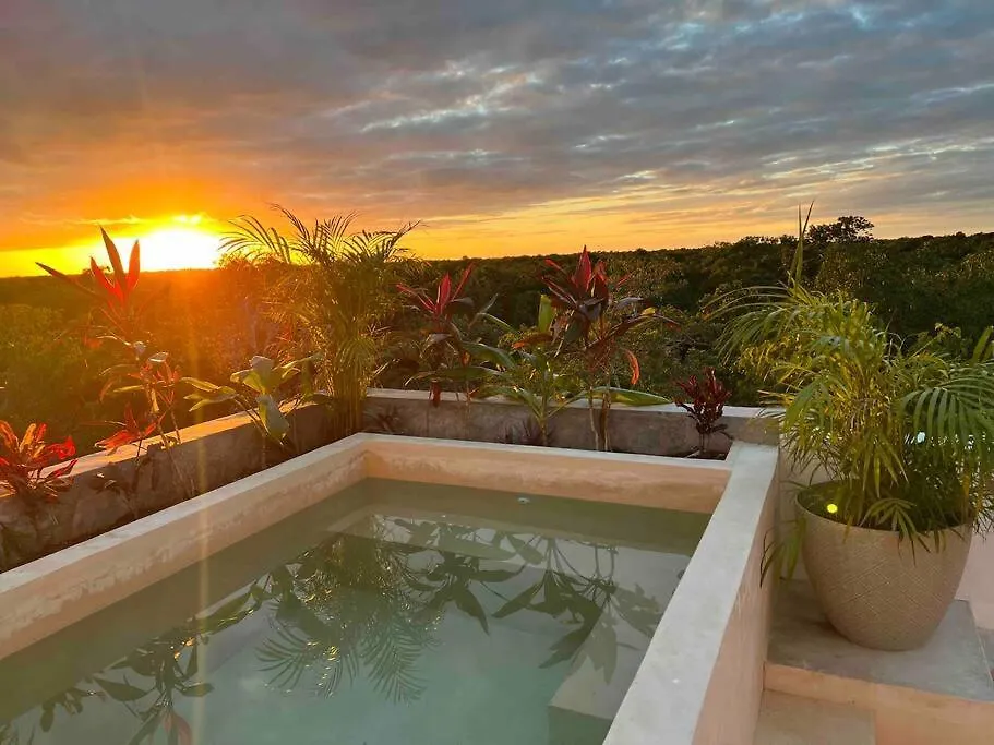 Lush Tulum Rooftop Condo With Ensuite Pool & Wifi